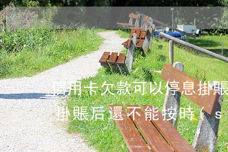 信用卡欠款可以停息掛賬嗎(信用卡做了停息掛賬后還不能按時(shí)還怎么辦)