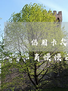 信用卡欠款可以协商么-欠信用卡的钱能协商慢慢还不