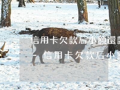 信用卡欠款后小額還款規(guī)避法律-信用卡欠款后小額還款規(guī)避法律責(zé)任嗎