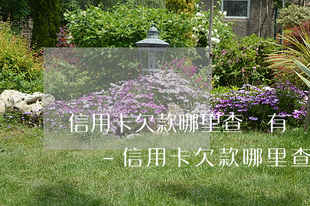 信用卡欠款哪里查詢有沒(méi)有被起訴-信用卡欠款哪里查詢有沒(méi)有被起訴的