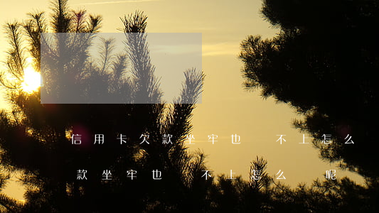 信用卡欠款坐牢也還不上怎么辦-信用卡欠款坐牢也還不上怎么辦呢