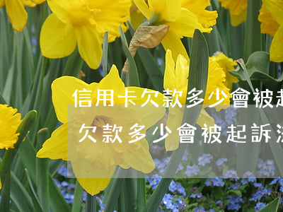 信用卡欠款多少會被起訴法院受理-信用卡欠款多少會被起訴法院受理呢