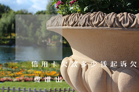 信用卡欠款多少钱起诉(欠信用卡被起诉,起诉费谁出)