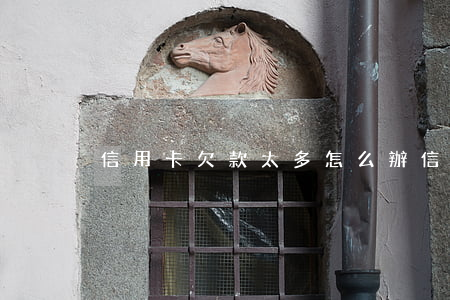信用卡欠款太多怎么辦(信用卡欠款會怎樣)