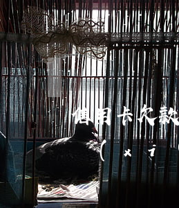 信用卡欠款如何協(xié)商 信用卡欠款協(xié)商不成怎么辦