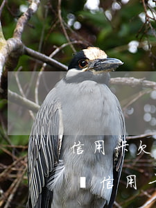 信用卡欠款已經(jīng)被起訴了怎么辦(信用卡欠款被訴訟怎么辦)