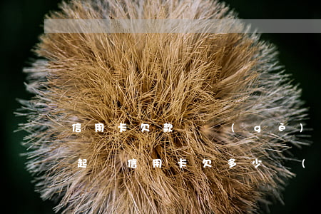 信用卡欠款幾個(gè)月會(huì)被起訴(信用卡欠多少會(huì)起訴)