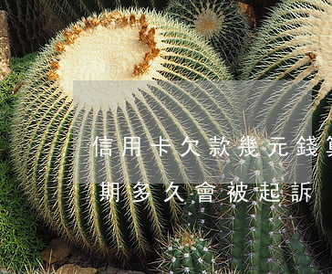 信用卡欠款幾元錢算逾期嗎(欠信用卡的錢逾期多久會被起訴)