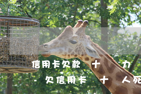信用卡欠款幾十萬無力償還人死了還用還嗎-欠信用卡幾十萬人死了還要還么