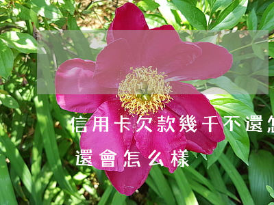 信用卡欠款幾千不還怎么辦(欠信用卡幾千不還會怎么樣)
