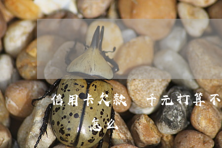 信用卡欠款幾千元打算不還(欠幾萬信用卡不還會怎么樣)