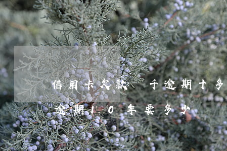 信用卡欠款幾千逾期十多年(信用卡欠款2千逾期10年要多少錢)