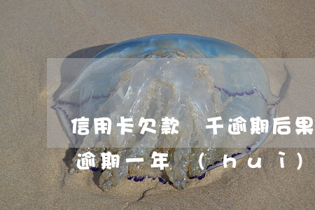 信用卡欠款幾千逾期后果(信用卡欠款一千多逾期一年會(huì)不會(huì)坐牢)