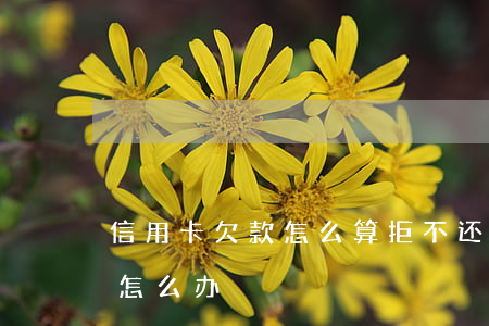 信用卡欠款怎么算拒不还款(欠债人拒不还款怎么办)