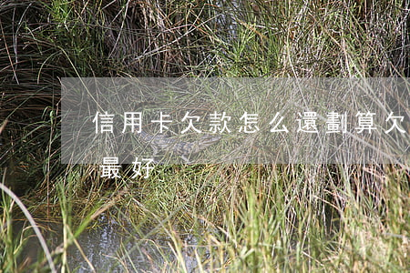 信用卡欠款怎么還劃算(欠信用卡的錢怎么還最好)