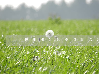 信用卡欠款找淘寶協(xié)商(信用卡欠款找淘寶協(xié)商有用嗎)