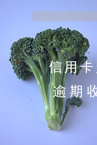 信用卡欠款收到執(zhí)行通知(信用卡逾期收到執(zhí)行通知書)