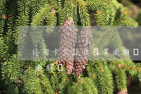 信用卡欠款日還算逾期嗎(信用卡欠款日還算逾期嗎)