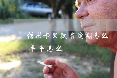 信用卡欠款有逾期怎么辦(欠信用卡錢逾期了半年怎么辦)