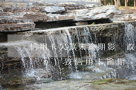 信用卡欠款未逾期影響政審嗎(被拘留導(dǎo)致信用卡逾期會影響征信嗎)