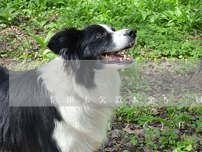 信用卡欠款本金5萬以下(信用卡5萬本金起刑事責(zé)任)