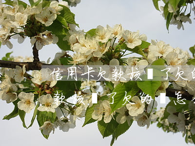 信用卡欠款核銷了欠的錢怎么還-信用卡欠款核銷了欠的錢怎么還進(jìn)去