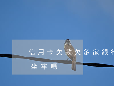 信用卡欠款欠多家銀行 欠多家信用卡不還會坐牢嗎