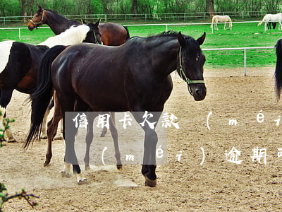 信用卡欠款沒(méi)逾期-信用卡欠款沒(méi)逾期可以貸款買房嗎