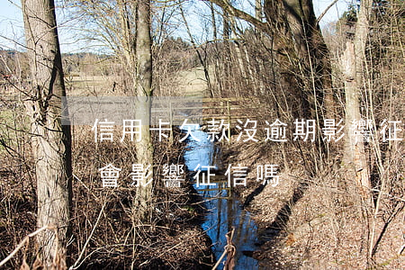 信用卡欠款沒逾期影響征信嗎(欠信用卡逾期會影響征信嗎)