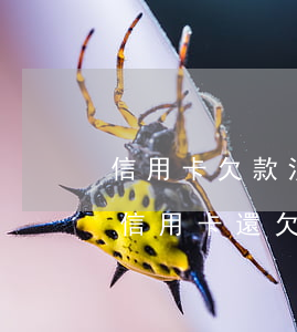 信用卡欠款沒逾期能房貸嗎(征信未逾期但是信用卡還欠錢能貸款買房嗎)