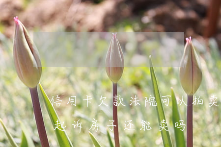 信用卡欠款法院可以拍卖房屋吗(欠信用卡被起诉房子还能卖吗)