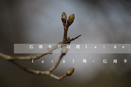 信用卡欠款現(xiàn)在還不上怎么協(xié)商-信用卡欠款現(xiàn)在還不上怎么協(xié)商還款