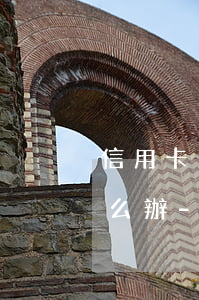 信用卡欠款真的還不上應(yīng)該怎么辦-信用卡欠款真的還不上應(yīng)該怎么辦呢