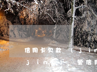 信用卡欠款經(jīng)偵管不管-經(jīng)偵管信用卡欠款嗎