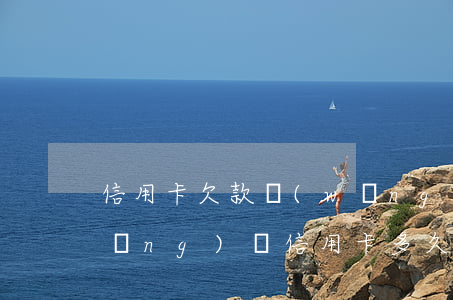 信用卡欠款網(wǎng)貸逾期(欠網(wǎng)貸信用卡多久會(huì)被起訴)