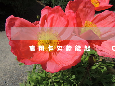 信用卡欠款能起訴戶口本上的人嘛