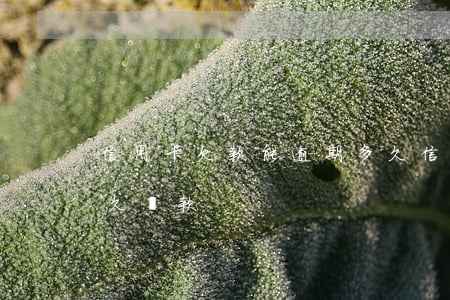 信用卡欠款能逾期多久(信用卡欠款能逾期多久還款)