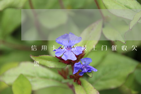 信用卡欠款被上门催收(欠信用卡上门催收报警)