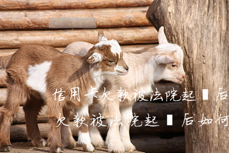 信用卡欠款被法院起訴后如何處理-信用卡欠款被法院起訴后如何處理呢