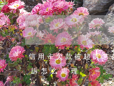信用卡欠款被起訴怎么處理(信用卡拖欠被起訴怎么處理)