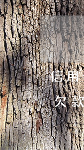 信用卡欠款被起訴有什么補救辦法-信用卡欠款被起訴有什么補救辦法嗎