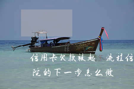 信用卡欠款被起訴流程(信用卡欠款起訴后,法院的下一步怎么做)
