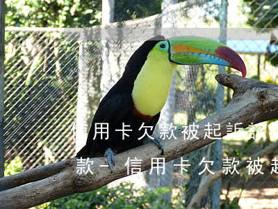 信用卡欠款被起訴該如何協(xié)商還款-信用卡欠款被起訴該如何協(xié)商還款呢