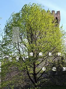 信用卡欠款被銀行起訴了會坐牢嗎-停息掛賬自己怎么去申請