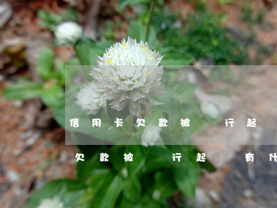 信用卡欠款被銀行起訴有什么后果-信用卡欠款被銀行起訴有什么后果呢