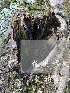 信用卡欠款被银行起诉了该怎么办(信用卡拖欠被起诉怎么处理)