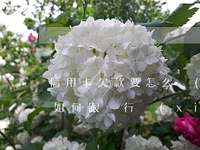 信用卡欠款要怎么協(xié)商 欠信用卡如何跟銀行協(xié)商