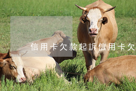 信用卡 欠款 起訴（信用卡欠款逾期被起訴嗎）