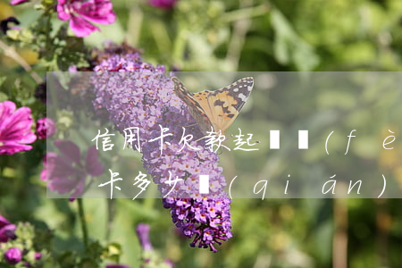 信用卡欠款起訴費(fèi)用多少(欠信用卡多少錢(qián)以上才會(huì)被起訴)