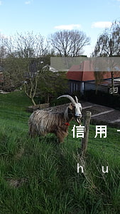 信用卡欠款超過(guò)多少逾期后會(huì)判刑-信用卡欠款超過(guò)多少逾期后會(huì)判刑呢